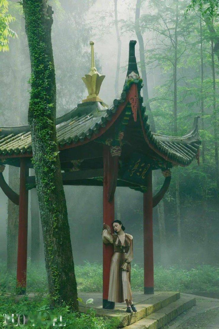 德伦口腔2024年度盛典”即将启幕